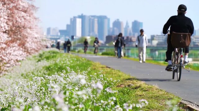 【神奈川県・川崎市－東京都・大田区】春の多摩川河川敷の日常風景　土手で花見をする人々　フィックス　
Daily scenery along the Tama River in spring. People watching cherry blossoms on the bank. - Kanagawa, Tokyo, Japan - fix