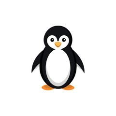 penguin art and illustration vector design