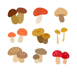 Set of hand drawn mushroom illustrations.