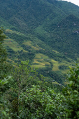 North West Highland of Viet Nam's landscape with ethnic feature of fog with green stairs paddy field and small house