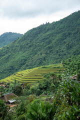 North West Highland of Viet Nam's landscape with ethnic feature of fog with green stairs paddy field and small house