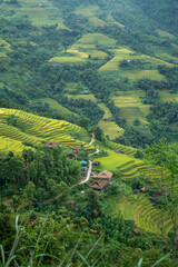North West Highland of Viet Nam's landscape with ethnic feature of fog with green stairs paddy field and small house