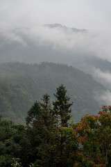 North West Highland of Viet Nam's landscape with ethnic feature of fog with green stairs paddy field and small house