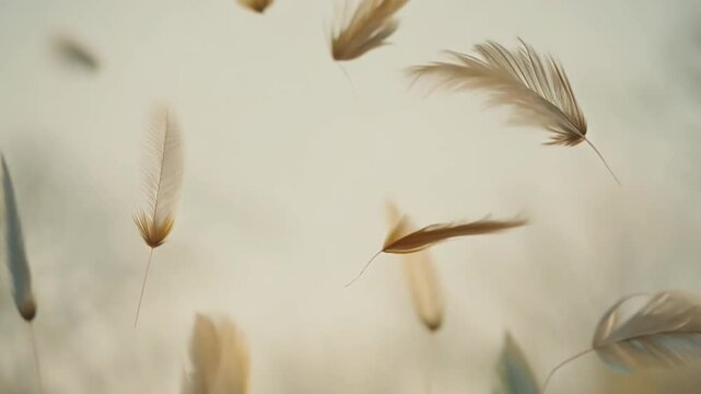 Soft beige feathers floating in the air on a gentle, muted background, creating a delicate and serene atmosphere