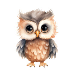 Fototapeta premium Watercolor Cute Owl Isolated on a Transparent Background