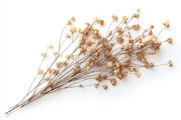 Elegant dried floral background created with Generative AI