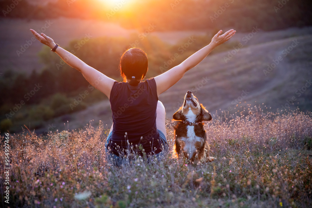 Wall mural Young woman with her dog watching the sunset