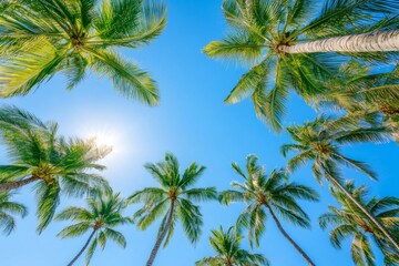 Obraz premium A beautiful view of tall palm trees under a bright blue sky. The sun shines brightly above. Perfect for summer themes and tropical imagery. Generative AI.