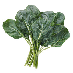 Fresh green chard leaves, perfect for healthy recipes and vibrant salads, adding nutrition and color to your meals.