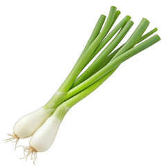 Fresh green onion bunch with vibrant green tops and white bulbs, perfect for culinary dishes and garnishes.