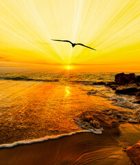 Sunset Bird Flying Soaring Surreal Divine Abstract Inspirational Vitality Ocean Sunrise Vertical