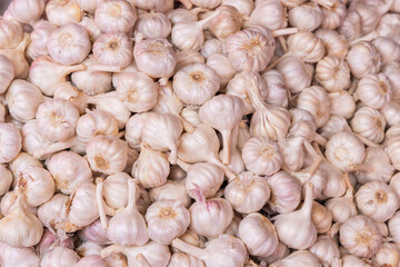Fresh Garlic in Open Market