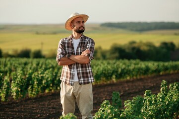 Fototapeta premium With arms crossed. Farmer is on the agricultural field