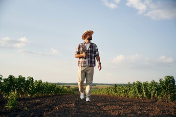 Fototapeta premium Front view, walking forward. Farmer is on the agricultural field