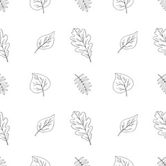autumn green line doodle seamless pattern of different leaves, rowan berry, oak, chestnut, linden, birch, foliage botanical fall illustration, floral design, September, October background