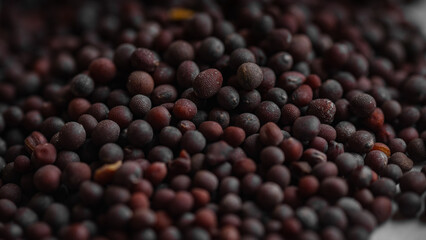 Close-up macro shot of Mustard seeds.