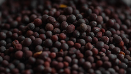 Close-up macro shot of Mustard seeds.