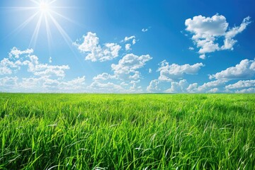 Obraz premium green plants background and fresh concept