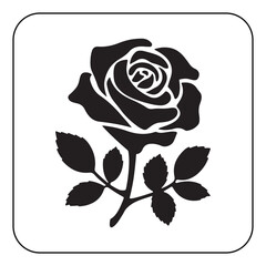 Vintage Flower Design with Classic Botanical Illustrations
