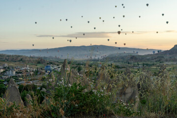 Hot air balloons rising early in the morning
