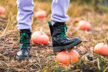 Girl holding pumpkin. Autumn harvest from farm. Local homegrown vegetables on Halloween. Kid growing organic eco-friendly food. Farmer with Jack o lantern. Harvesting in family garden