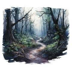 A winding path through a dense, misty forest.