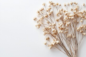 Elegant dried floral background created with Generative AI