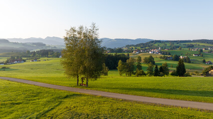 Oberreute im Allgäu in the German Alps at golden hour
