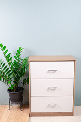 Fresh zamiifolia Plant (zamioculcas) and Snake plant in white flower pot, isolated on white wall texture background. Flowerpot bloom on office cabinet, home interior decor. House design pattern