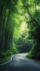 Obraz premium Winding road through a lush bamboo forest, creating a serene and tranquil atmosphere perfect for nature lovers and outdoor enthusiasts.
