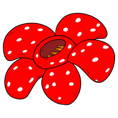 rafflesia illustration hand drawn isolated vector