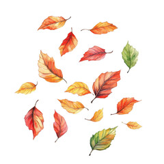 Colorful autumn leaves scattered gracefully on a white background, showcasing the beauty of fall's vibrant hues.