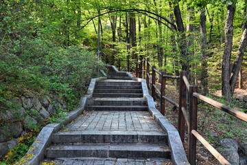 Namsan Park in Seoul