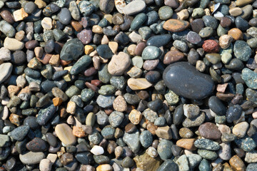 Colorful pebbles on the beach, closeup of photo