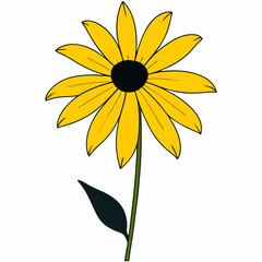 Black-eyed Susan flower vector art illustration