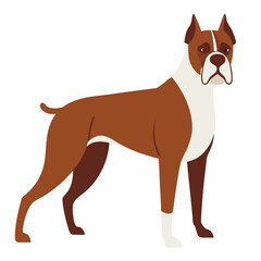 Beautiful Boxer Dog vector artwork