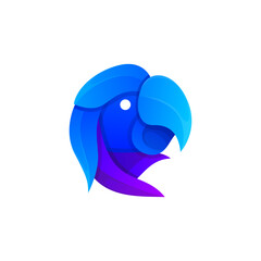 parrot abstract colorful logo design vector
