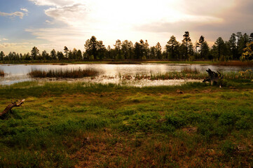 Lake of the Woods Arizona