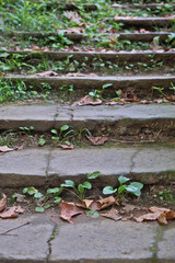 Stone steps in the park, closeup of photo with shallow depth of field