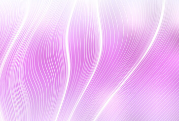 Obraz premium Light Pink vector glossy abstract background.