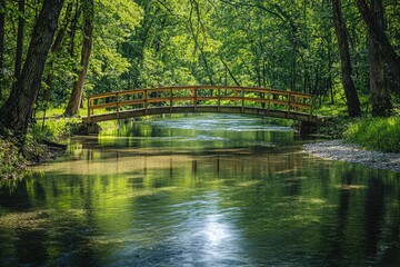 Fototapeta premium A clear creek with tree reflections crossed by a wooden footbridge in a county area