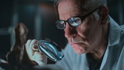 Senior archaeologist studies remains of prehistoric extinct animal or human using magnifying glass....