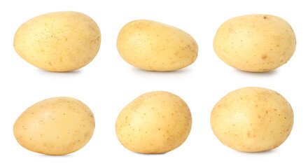 Many whole potatoes isolated on white, set