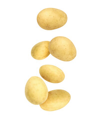 Fresh potatoes in air on white background