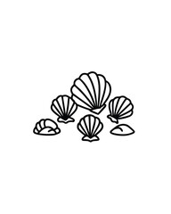 Line art illustration of a set of seashells.