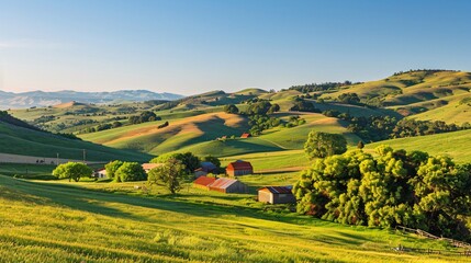 Obraz premium Rural Panorama. Rolling Hills and Farmhouses Under a Clear Blue Sky, Bathed in the Soft Warm Light of Late Afternoon
