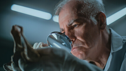 Senior archaeologist studies bones of prehistoric human or animal using magnifying glass. Scientist...
