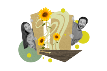 Collage image of two impressed black white effect people peeking look growing sunflower isolated on creative background