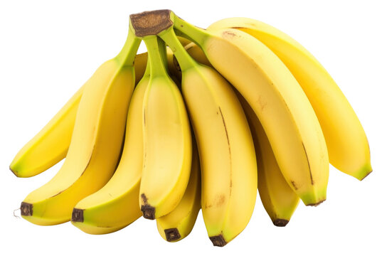 PNG Banana fruit bunch plant.