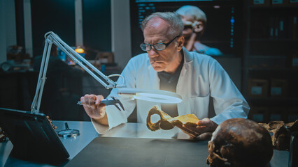 Senior archaeologist measures and studies fossil bones under lamp with professional tools in...